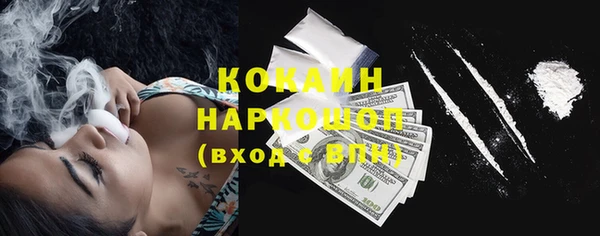 крисы Каменка