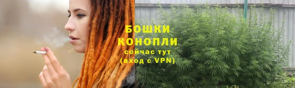 соль курить ск Каменногорск