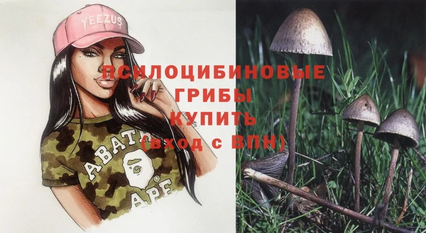 соль ск Карпинск