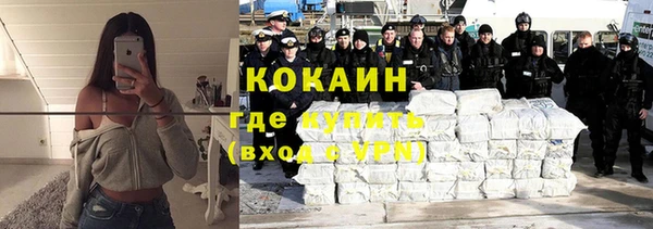 крисы Каменка