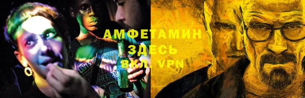 крисы Каменка