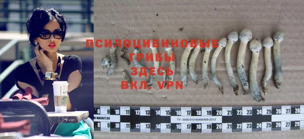 альфа пвп Фёдоровский