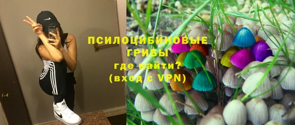 соль курить ск Каменногорск